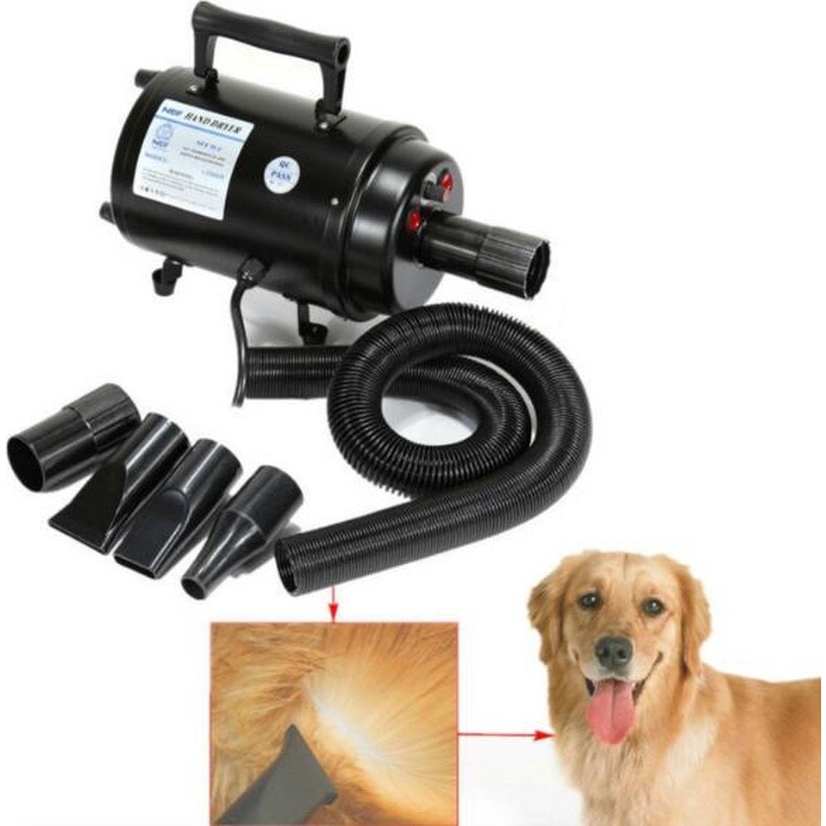 Hondenföhn | Waterblazer