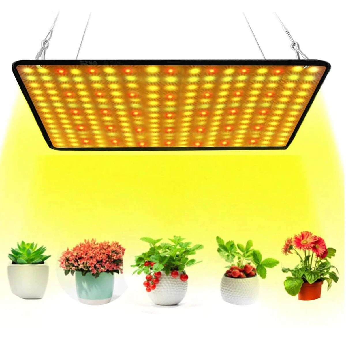 Elfeland LED Grow Lamp-Grow Lamps-100W Grow Lamps for Garden