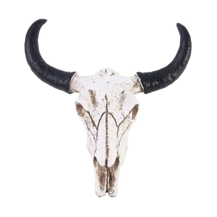 Buffel Schedel met Hoorns | Huis Decoratie | Skull | 12.5 x 15.6 x 6.5 cm | Hars