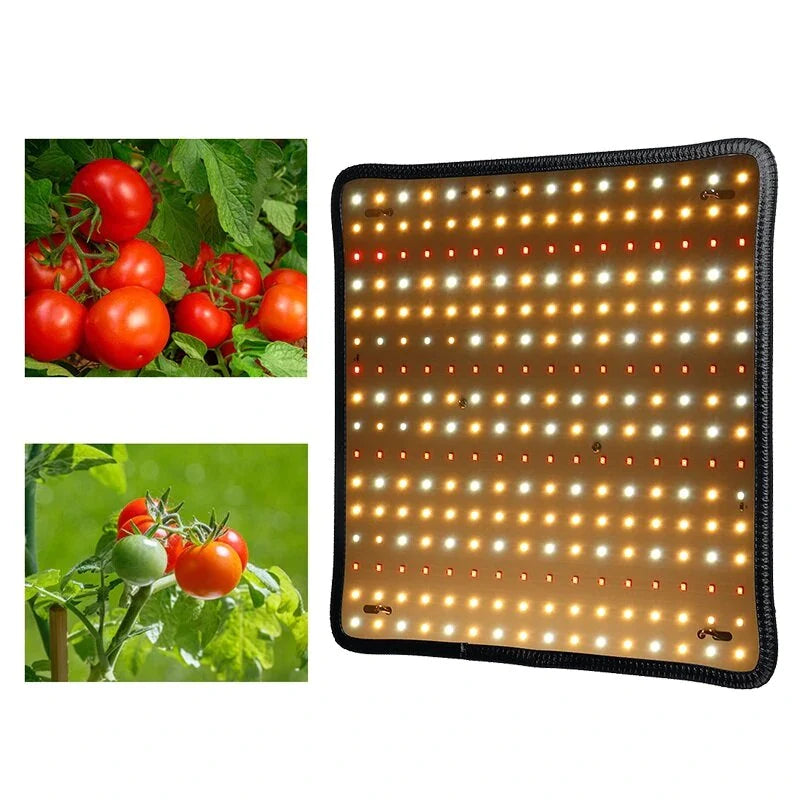 Elfeland LED Kweeklamp-Kweeklampen-100W Groeilampen voor Tuin